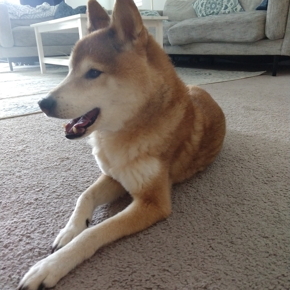 Meet your Posher, Carrie - Picture 12 of 16